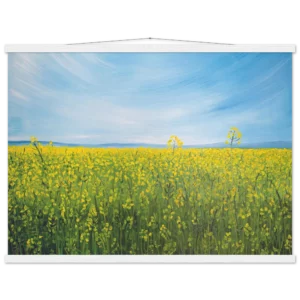 8ff4cabd-73d6-4ca1-9505-4146b03f40b0