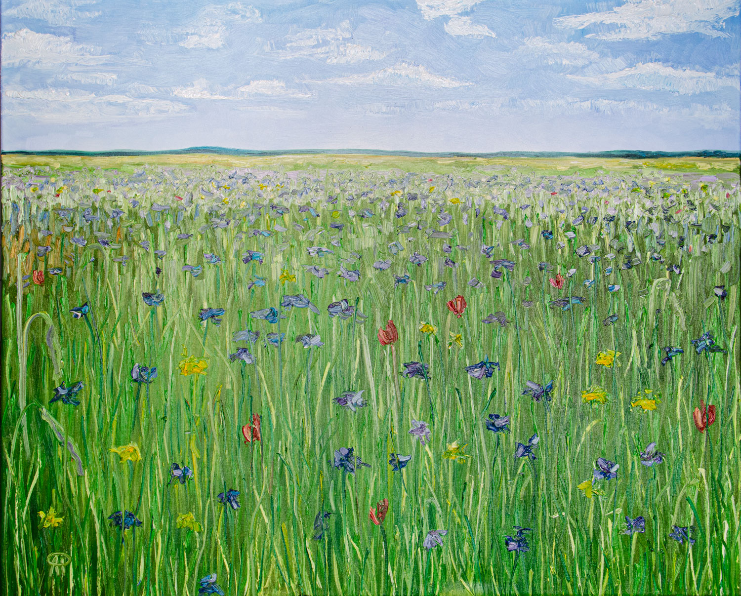 Flower Field, oil on canvas 100 x 80 cm, Parcus Gallery